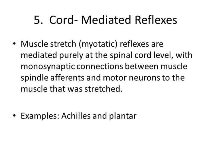 Exercise 16 human reflex physiology