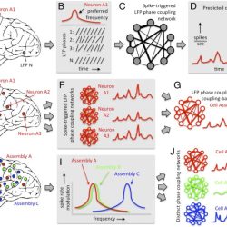 Flow cell assemblies additional views culture