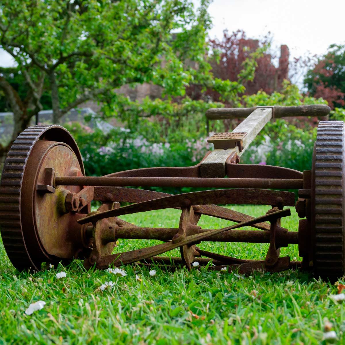 To start her old lawn mower rita